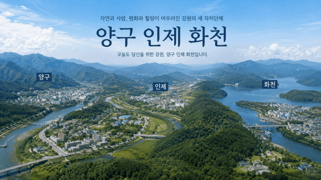 제주도탁송
